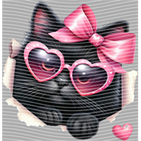 Valentine's Day-QRJ  2300